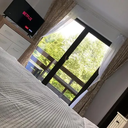 Cabana Din Padure Guest house *