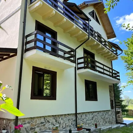 Guest house Cabana Din Padure Porumbacu de Sus