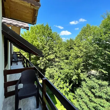 Cabana Din Padure Guest house