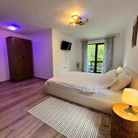 Cabana Din Padure Guest house