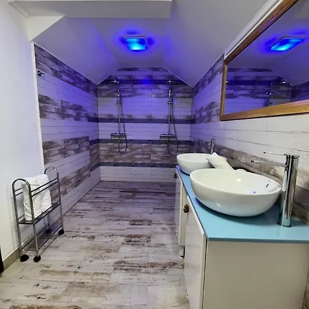 Cabana Din Padure Guest house *