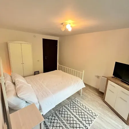 Cabana Din Padure Guest house