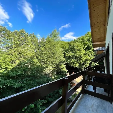 Cabana Din Padure Guest house