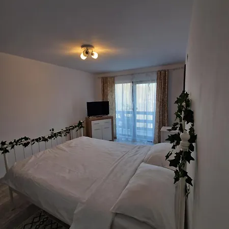 Cabana Din Padure Guest house Porumbacu de Sus