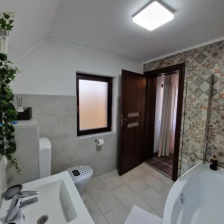 Guest house Cabana Din Padure *
