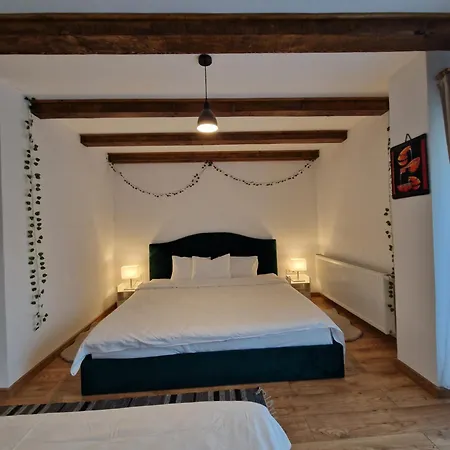 Cabana Din Padure Guest house *