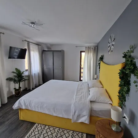 Cabana Din Padure Guest house