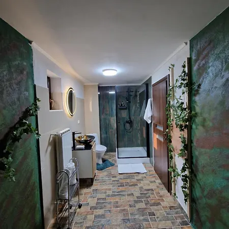 Cabana Din Padure Guest house *